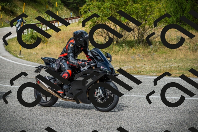 202507271157-DSC01121_c1_