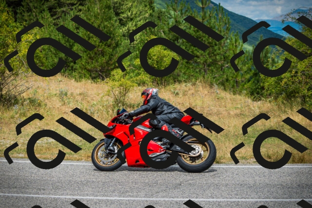 202507271157-DSC01128_c1_