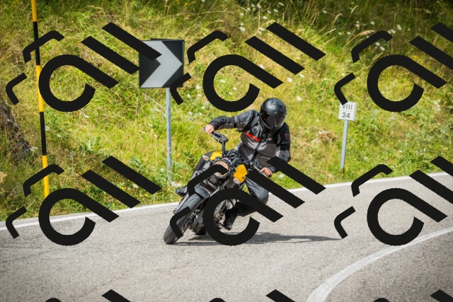 202507271157-DSC01145_c1_