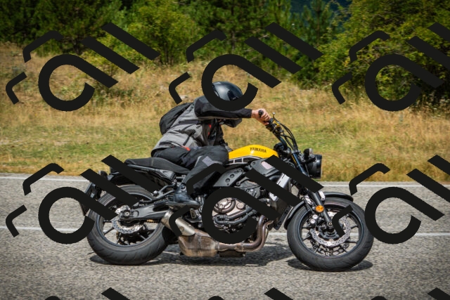 202507271157-DSC01148_c1_