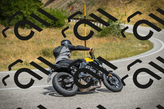 202507271157-DSC01149_c1_