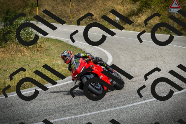 202507271158-DSC01165_c1_