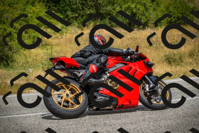 202507271158-DSC01185_c1_