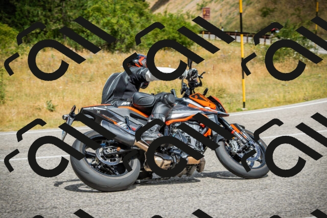 202507271159-DSC01199_c1_