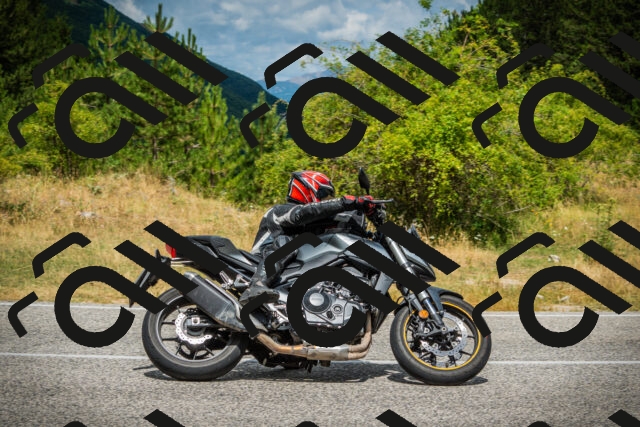 202507271159-DSC01225_c1_