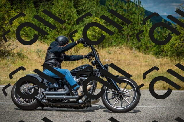 202507271159-DSC01232_c1_