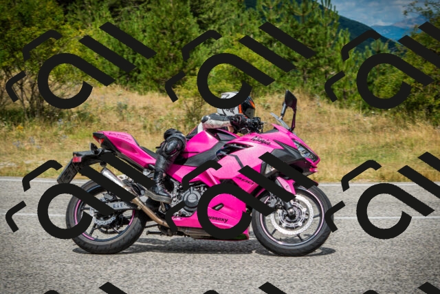 202507271159-DSC01237_c1_