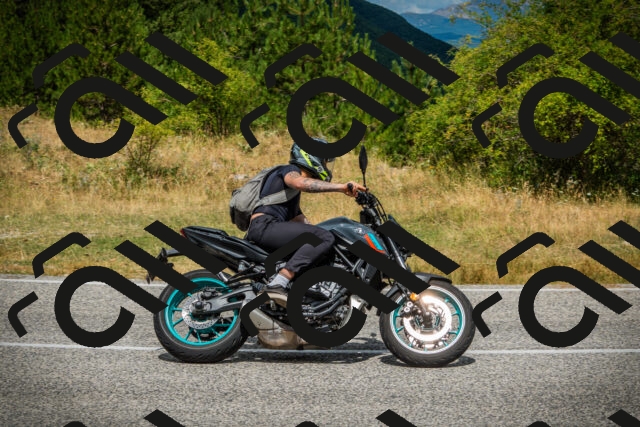 202507271159-DSC01242_c1_