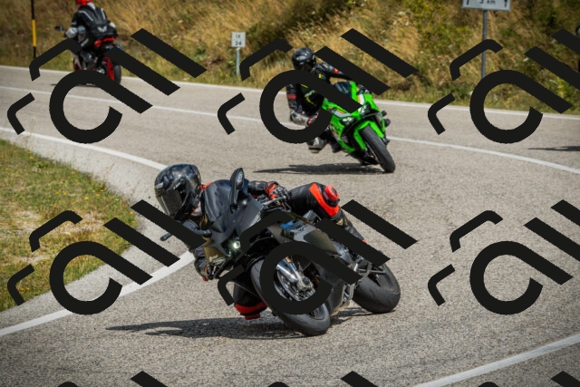 202507271159-DSC01245_c1_