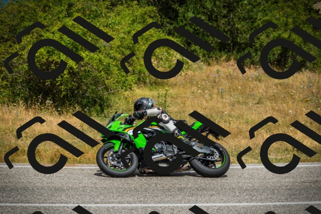 202507271159-DSC01248_c1_