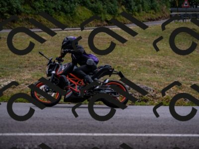 202507271259-_DSC8228_d2_