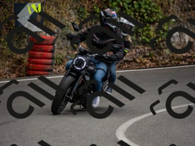 202507271305-_DSC8368_d2_