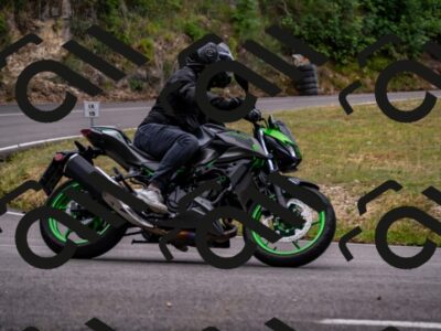 202507271305-_DSC8374_d2_