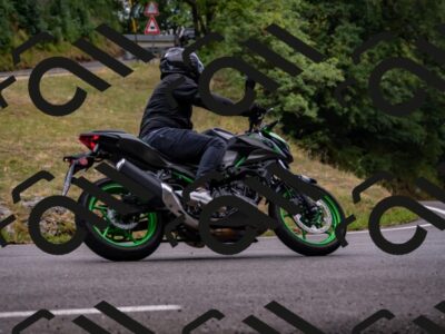 202507271305-_DSC8376_d2_