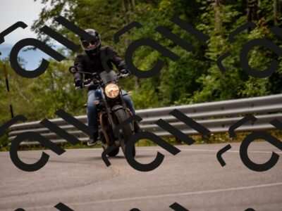 202507271312-_DSC8425_d2_