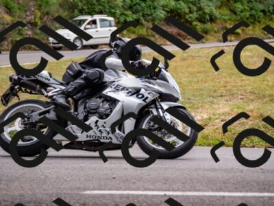 202507271315-_DSC8455_d2_