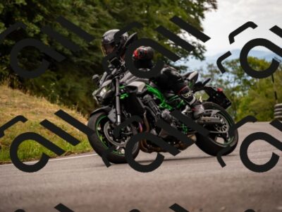 202507271333-_DSC8567_d2_