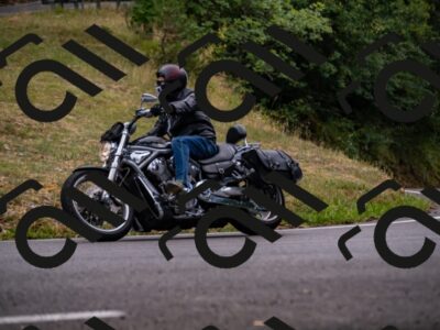 202507271341-_DSC8691_d2_