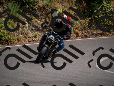 202507271453-_DSC9128_d2_