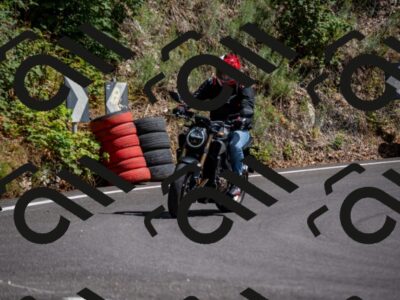 202507271517-_DSC9218_d2_