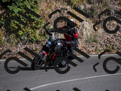 202507271652-_DSC9713_d2_