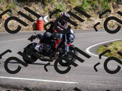 202507271652-_DSC9715_d2_