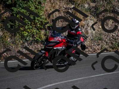 202507271714-_DSC9823_d2_