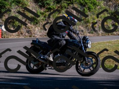 202507271716-_DSC9833_d2_