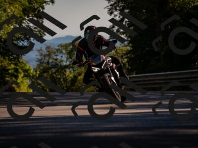 202507271719-_DSC9847_d2_