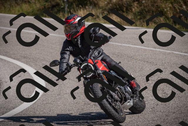 20250802102624-_5004581_am_