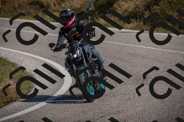 20250802102813-_5004602_am_