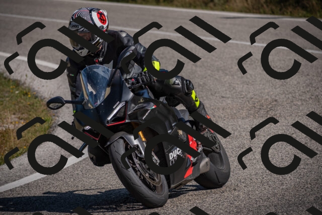 20250802103108-_5004628_am_