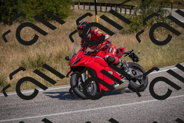 20250802110639-_5004942_am_