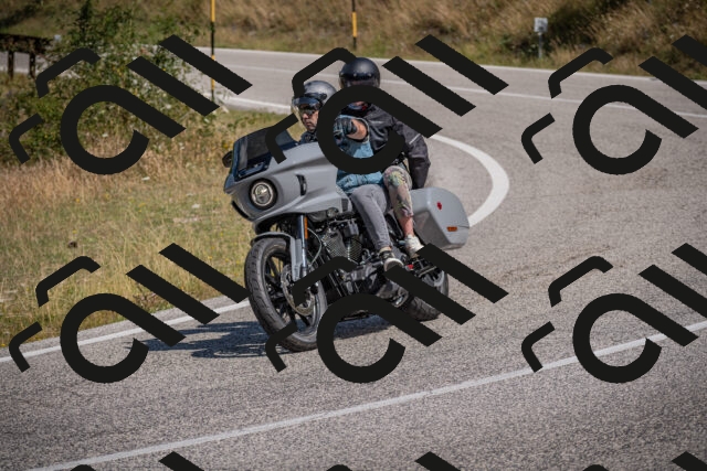 20250802111142-_5005038_am_