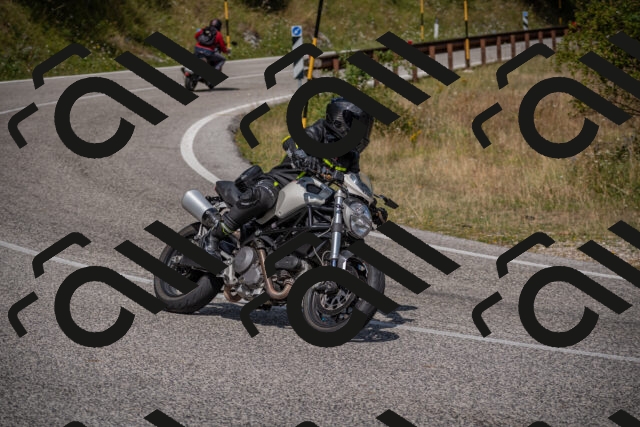 20250802111755-_5005157_am_