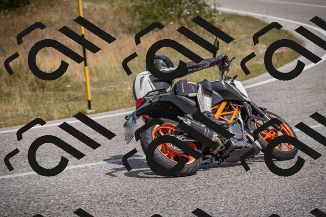 20250802113741-_5005484_am_