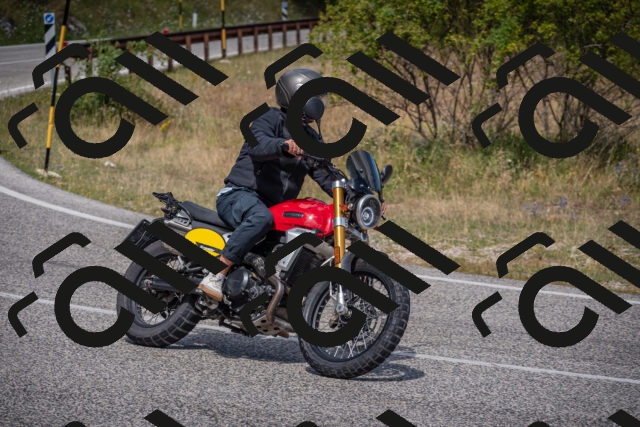 20250802113930-_5005501_am_