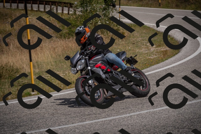 20250802114931-_5005786_am_