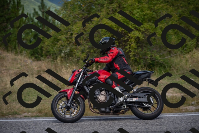 20250802115024-_5005809_am_