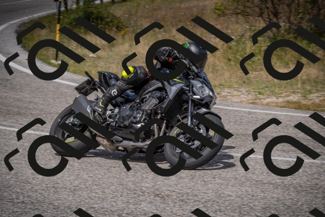 20250802115102-_5005828_am_