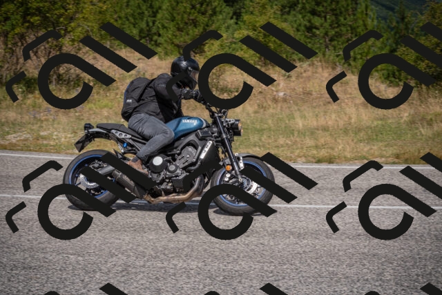 20250802115149-_5005858_am_