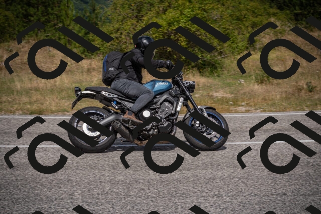 20250802115150-_5005859_am_