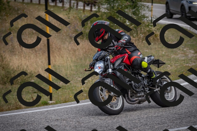 20250802120335-_5006047_am_