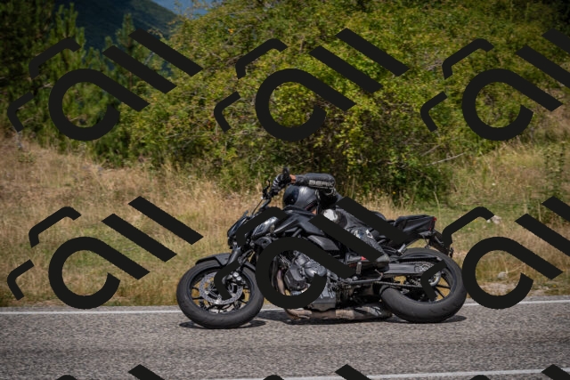 20250802121246-_5006178_am_