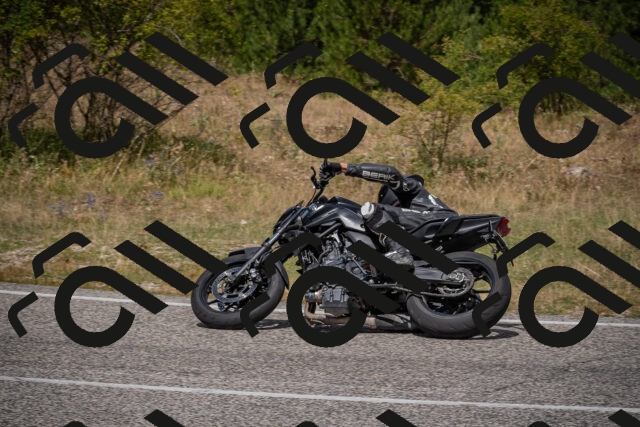 20250802121246-_5006179_am_