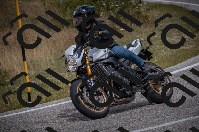 20250802121639-_5006239_am_