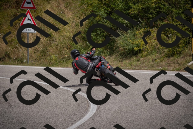 20250802122312-_5006353_am_