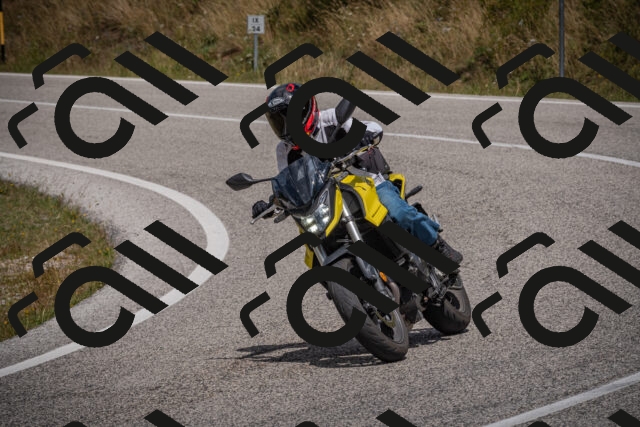 20250802124049-_5006617_am_