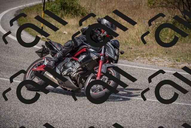 20250802124208-_5006663_am_