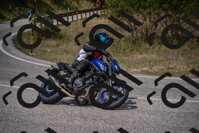 20250802125255-_5006861_am_